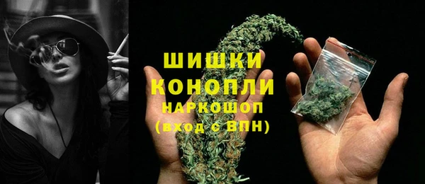 СК Волосово